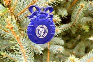 albertus-ornament(1)